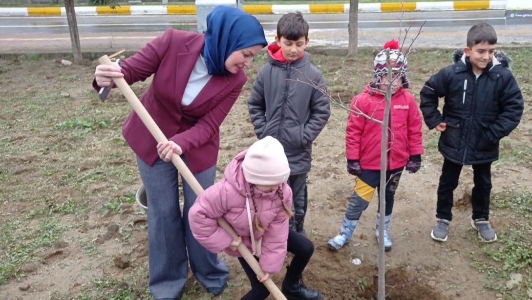 11 Kasım Milli Ağaçlandırma Gününde Fidanlar Toprakla Buluştu.